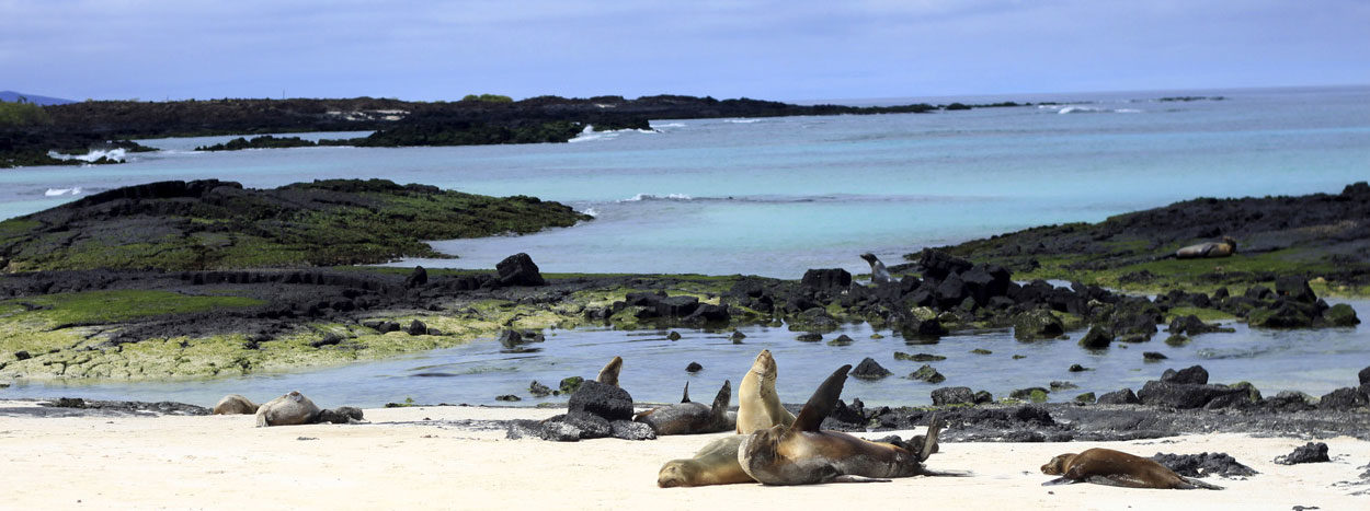 https://www.inkareisen.de/wp-content/uploads/2014/11/galapagos-strand2-1-1250x467.jpg