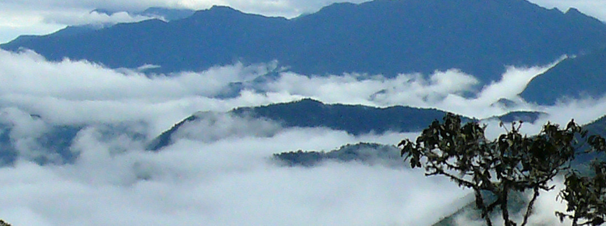 https://www.inkareisen.de/wp-content/uploads/2014/12/chachapoyas3-1250x467.jpg