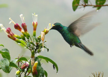 CHACHAPOYAS – IM LAND DER „WOLKENMENSCHEN“